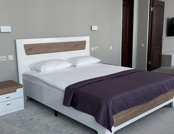 Стандарт Плюс 2-местный 2-комнатный Люкс (корпус 5) - Санаторий «Якты-Куль» Зеленая поляна